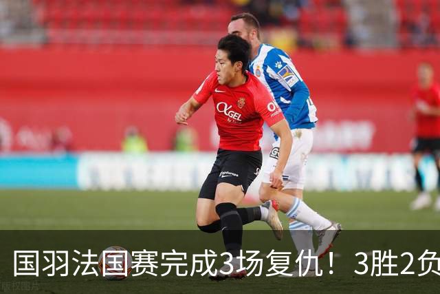 国羽法国赛完成3场复仇！3胜2负仅剩男单混双进四强，胡哲安黑马